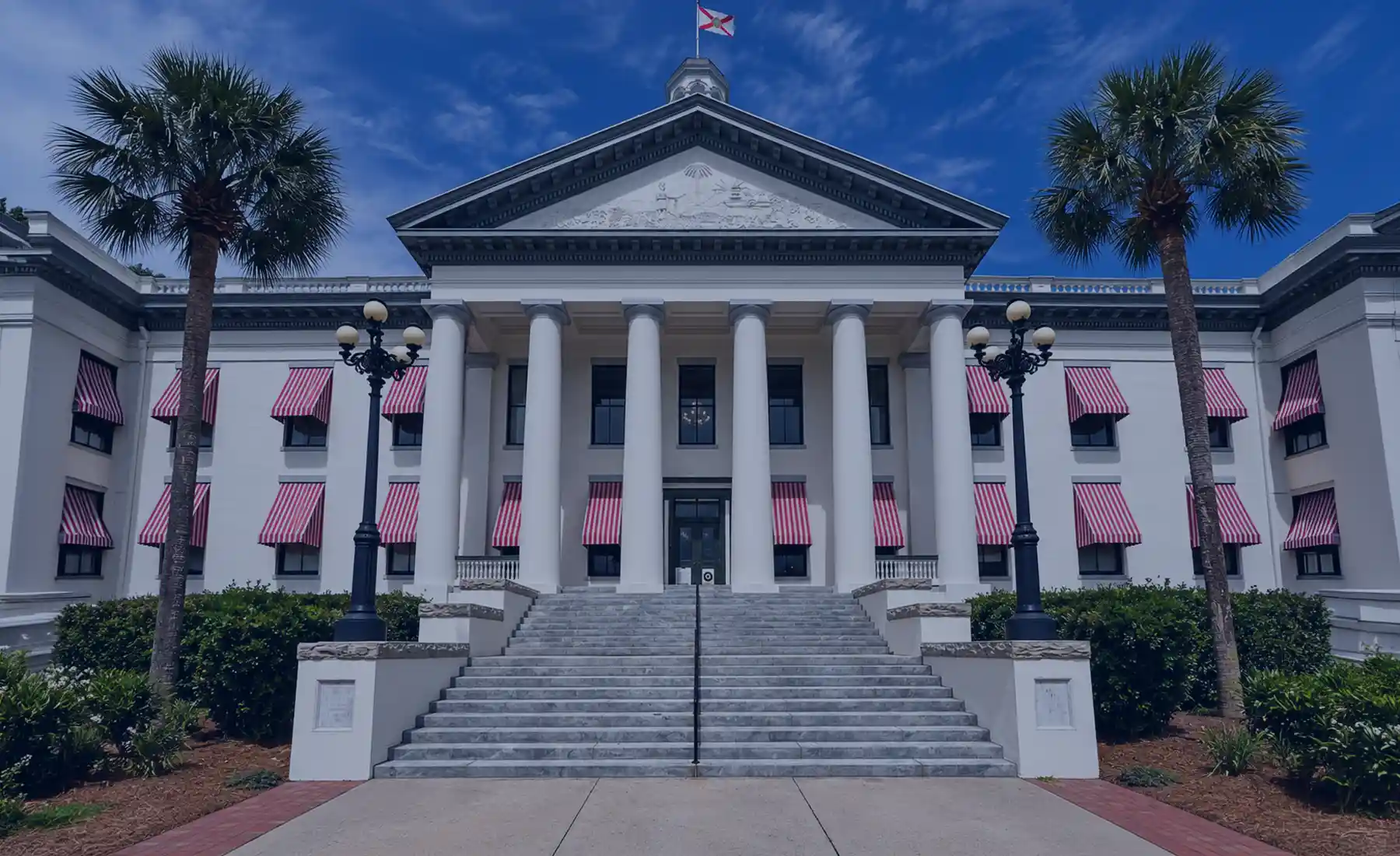 Florida U.S. Senate race